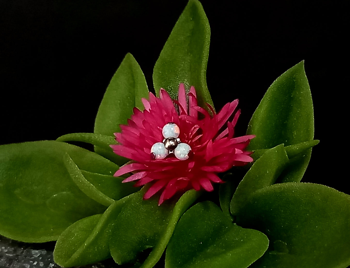 Trinity opalo blanco - titanio grado implante ASTM F-136