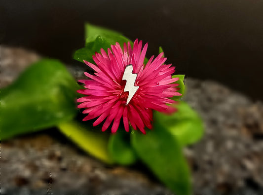 Rayo - titanio grado implante ASTM F-136