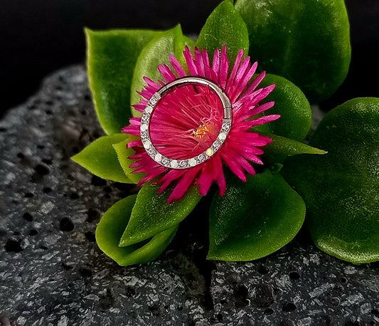 Titanio grado implante. Clicker Opalo blanco y cristal