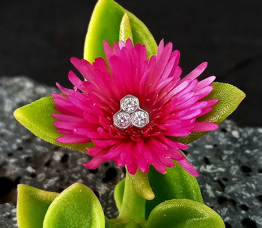 Panal - titanio grado implante ASTM F-136