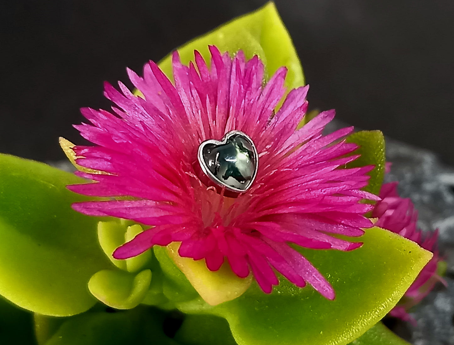 Top corazón piedra agata musgo - titanio grado implante ASTM F-136