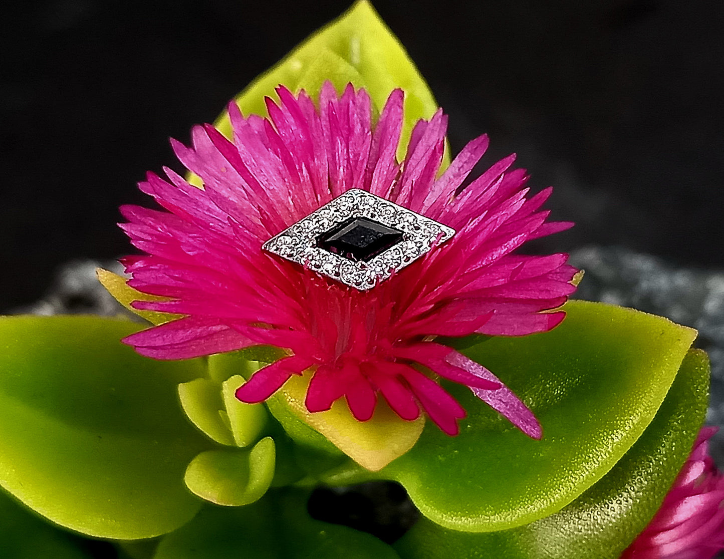 Top rombo clear y black - titanio grado implante ASTM F-136