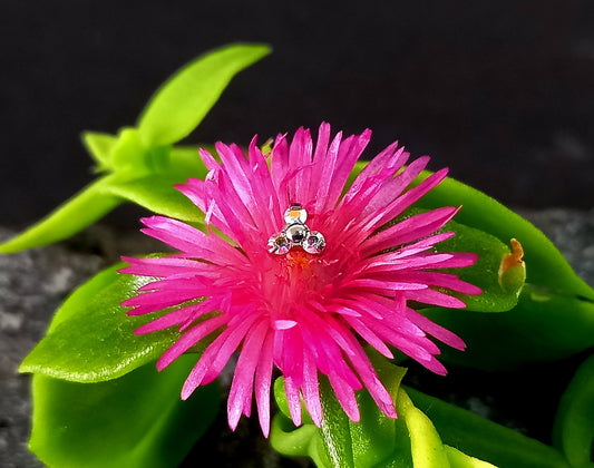 Trinity aurora boreal - titanio grado implante ASTM F-136