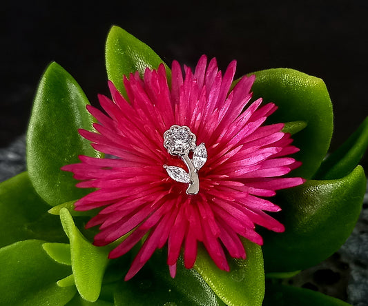 Flor Cz clear - titanio grado implante ASTM F-136