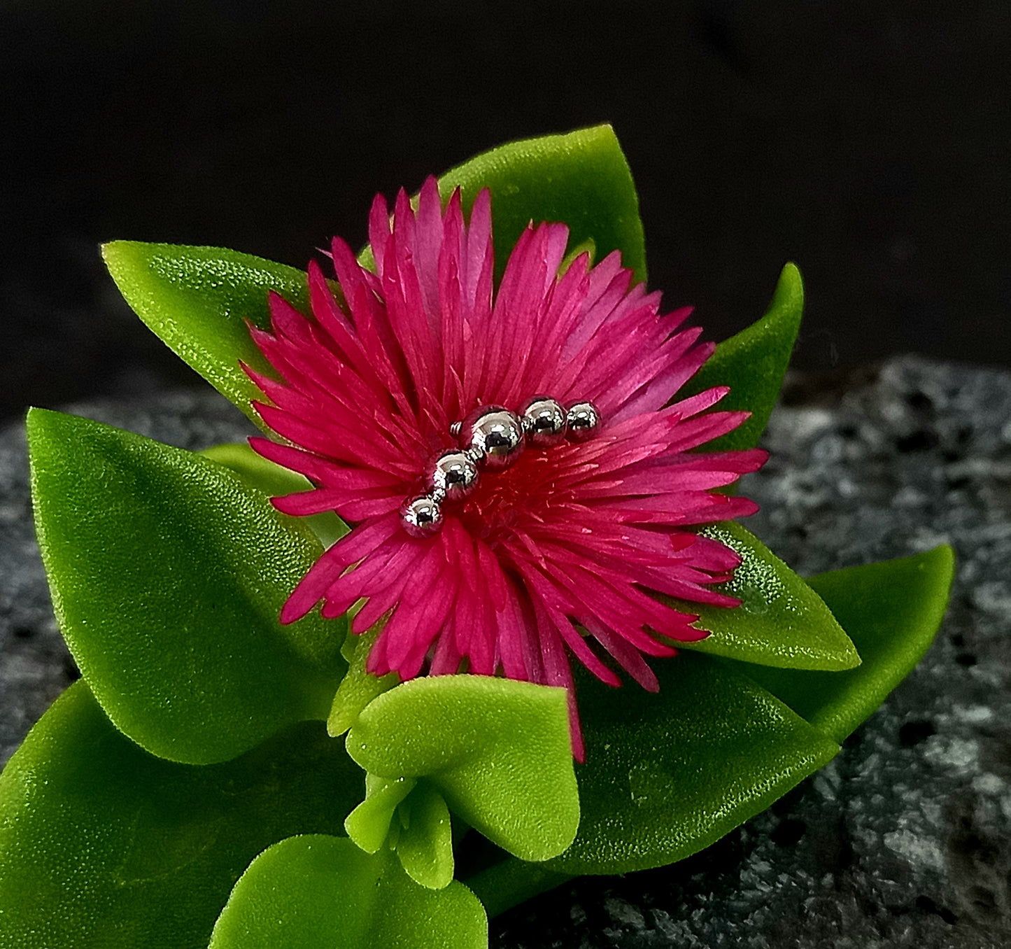 Media luna 5 esferas - titanio grado implante ASTM F-136