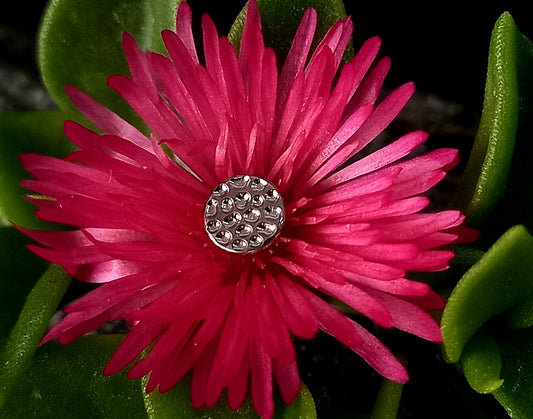 Disco martillado - titanio grado implante ASTM F-136