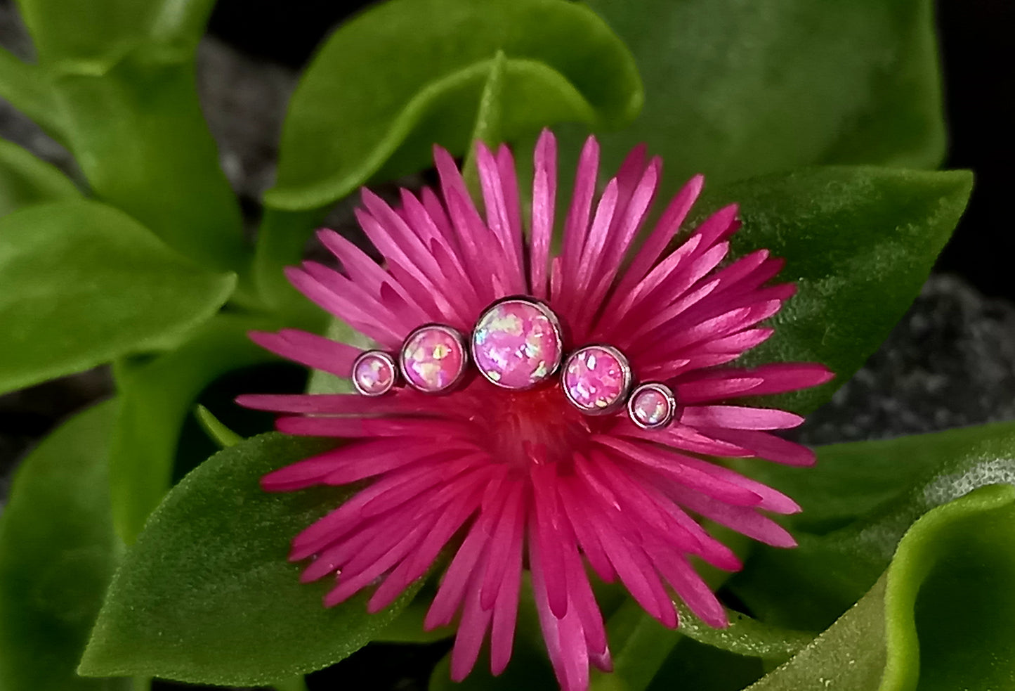 Media luna 5 cristales Ópalo Rosa - titanio grado implante ASTM F-136