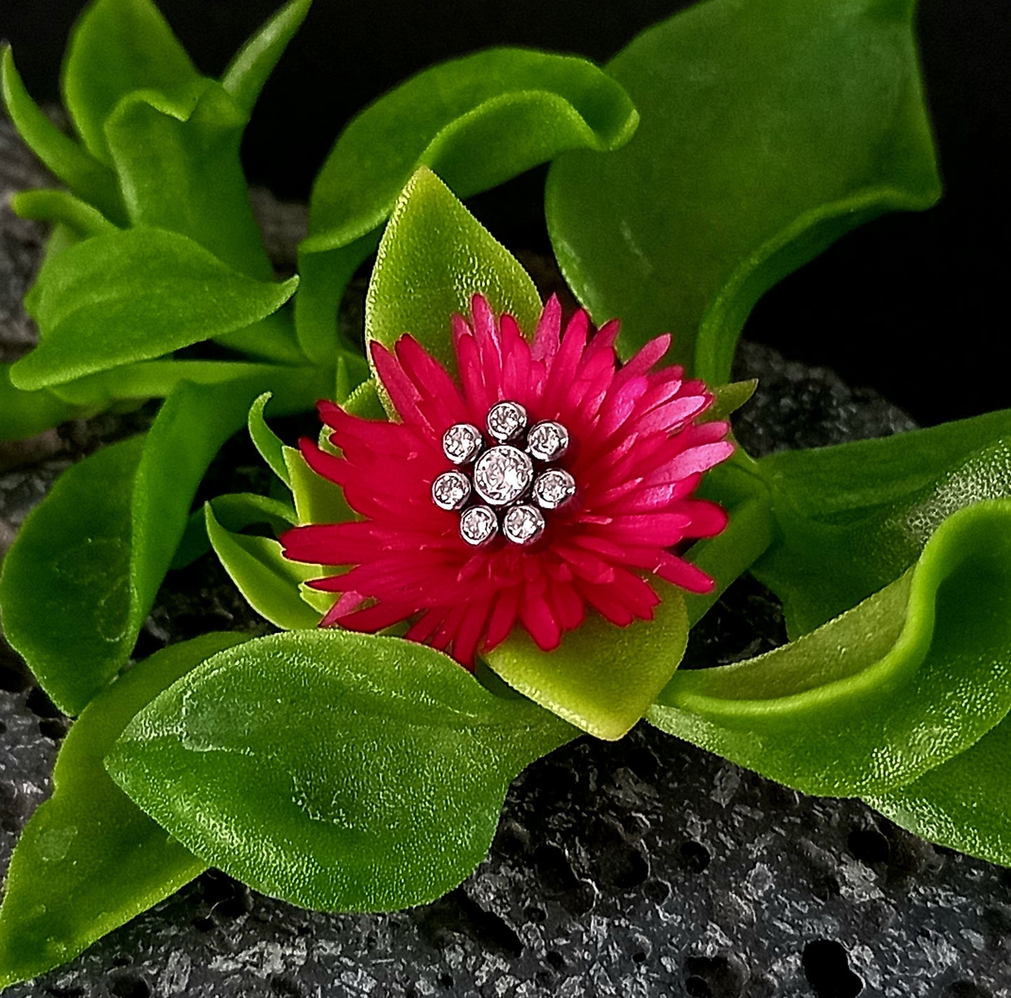 Titanio grado implante. Flor 7 brillos