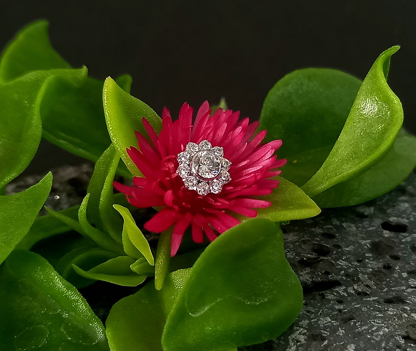 Titanio grado implante. Maxi flor clear