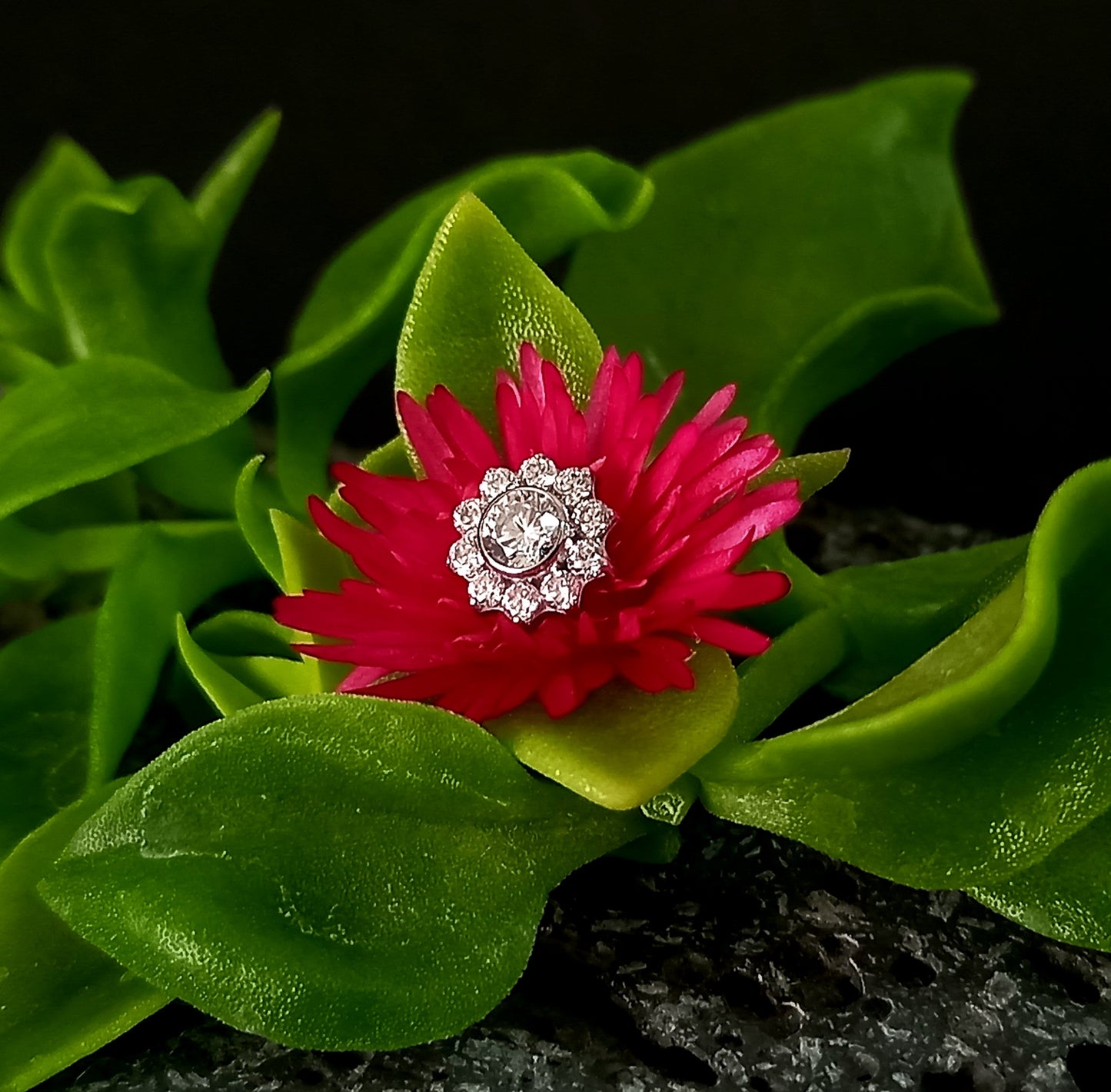 Titanio grado implante. Maxi flor clear
