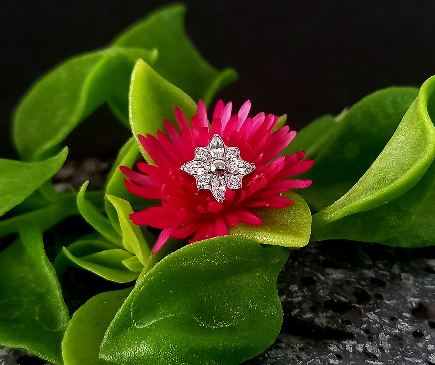 Flor 4 petalos Clear - titanio grado implante ASTM F-136