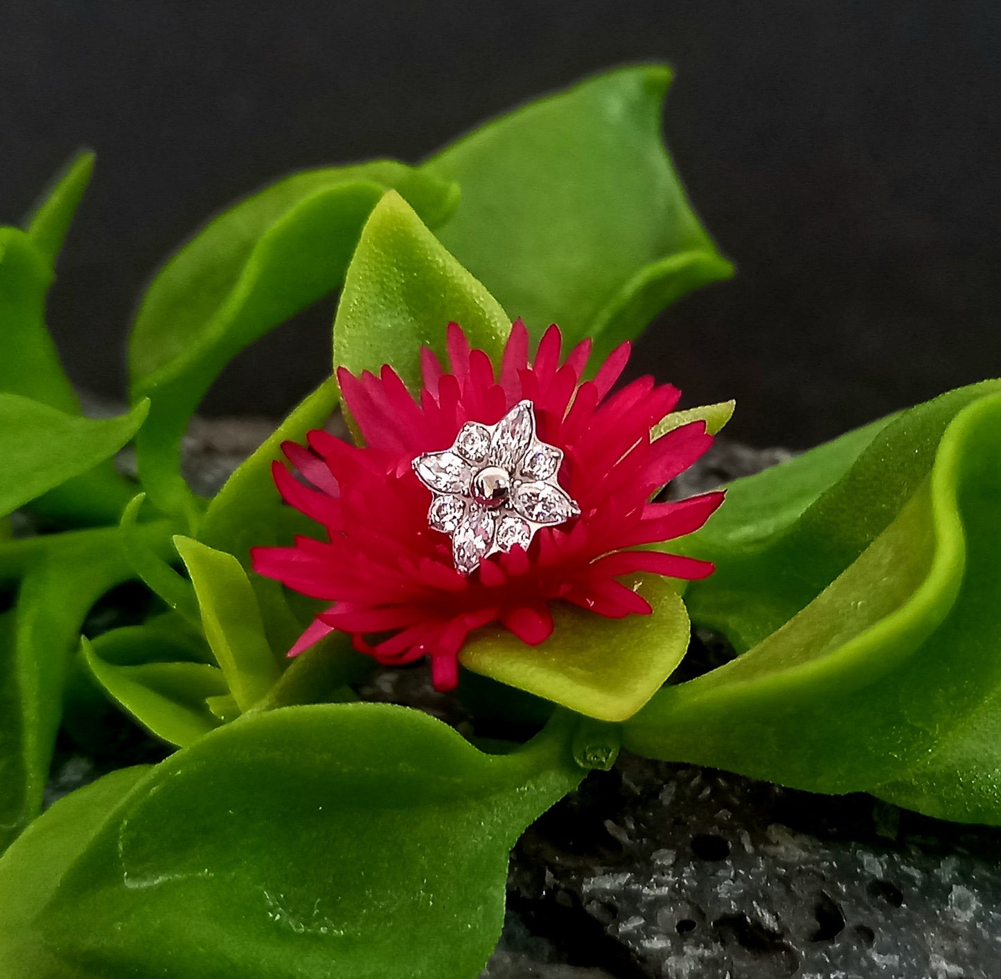 Titanio grado implante. Flor 4 petalos Clear