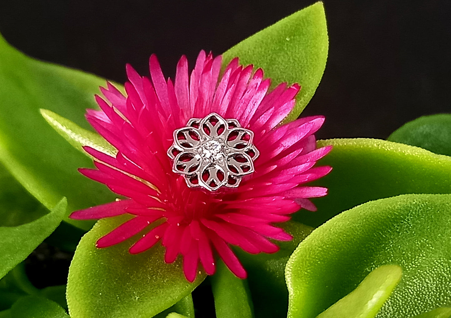 Titanio grado implante. Mandala