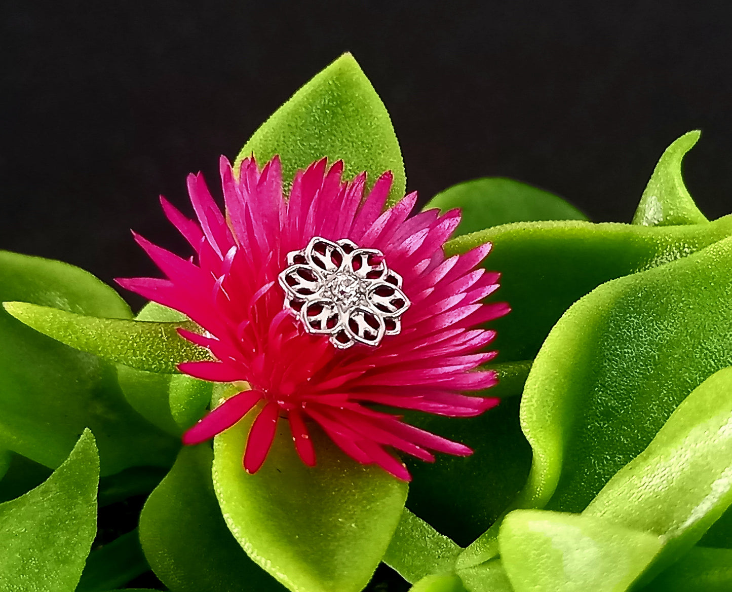 Titanio grado implante. Mandala