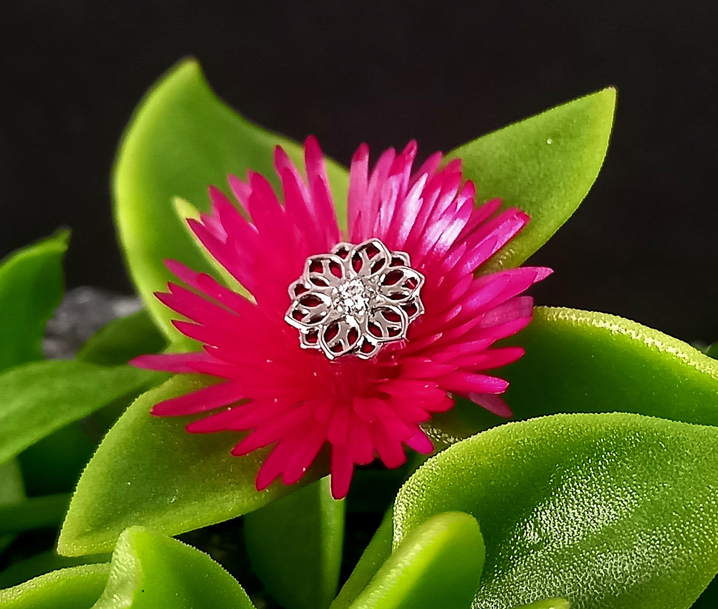 Titanio grado implante. Mandala