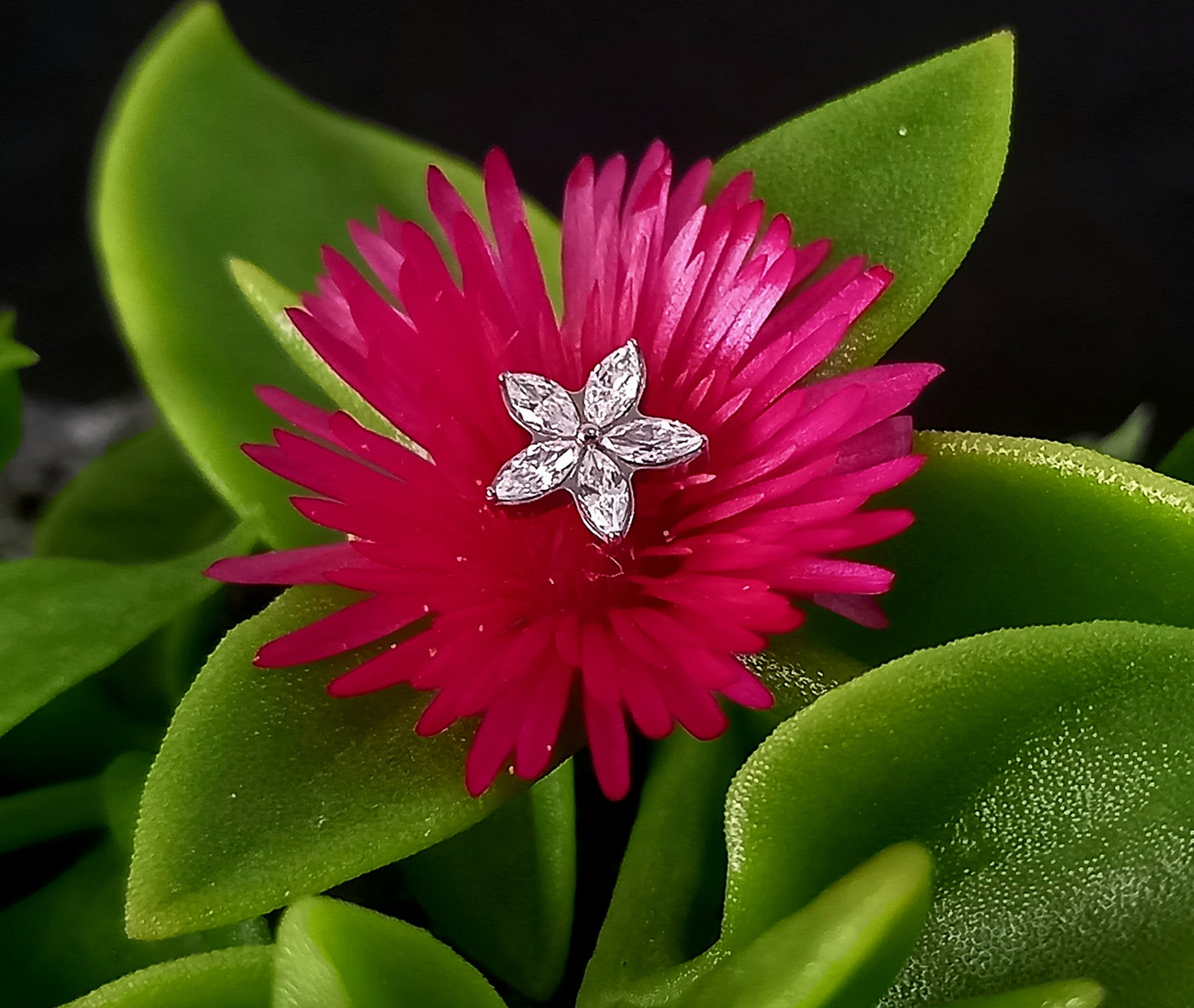 Titanio grado implante. Flor 5 petalos Clear