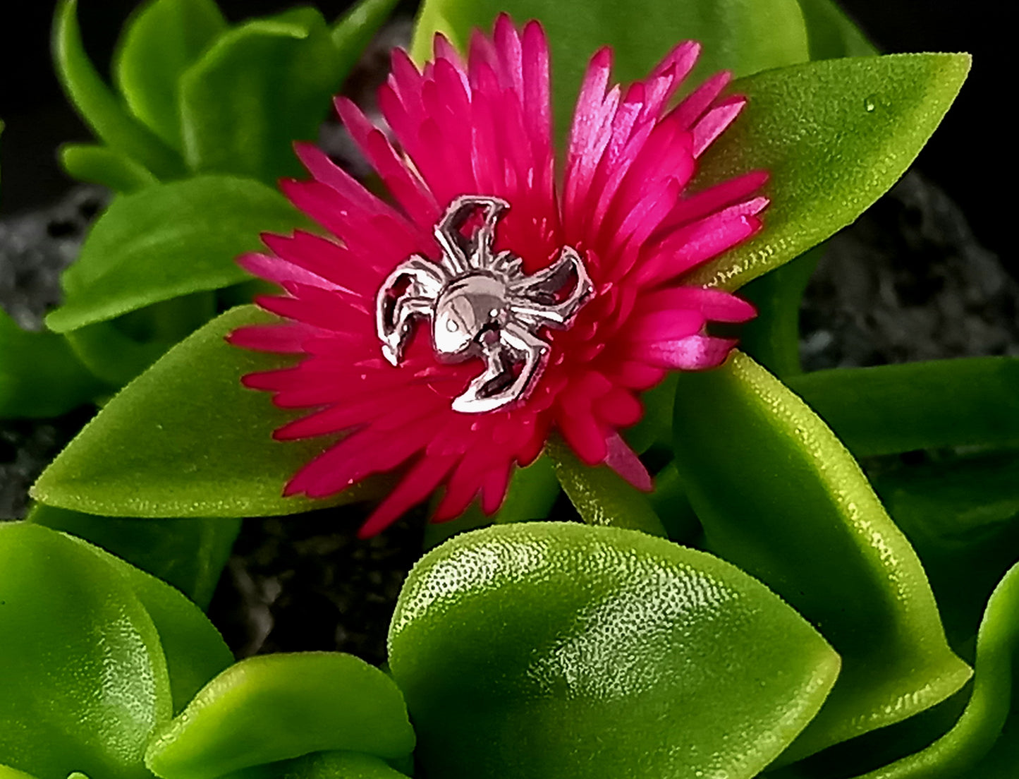 Titanio grado implante. Araña