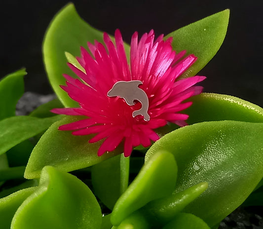 Delfin - titanio grado implante ASTM F-136