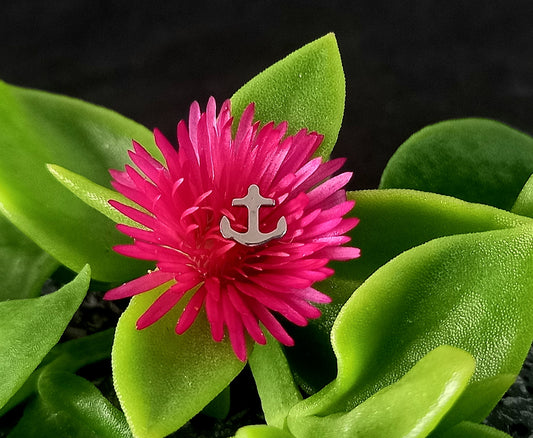 Ancla - titanio grado implante ASTM F-136