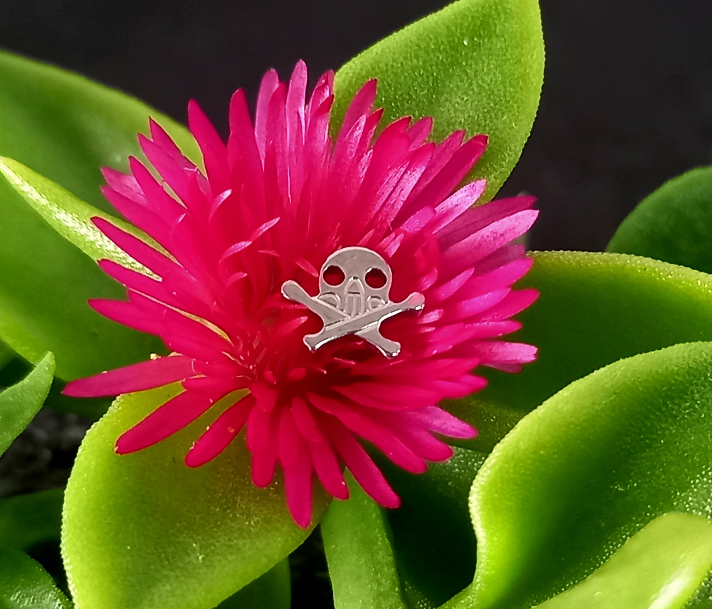 Titanio grado implante. Calavera 1
