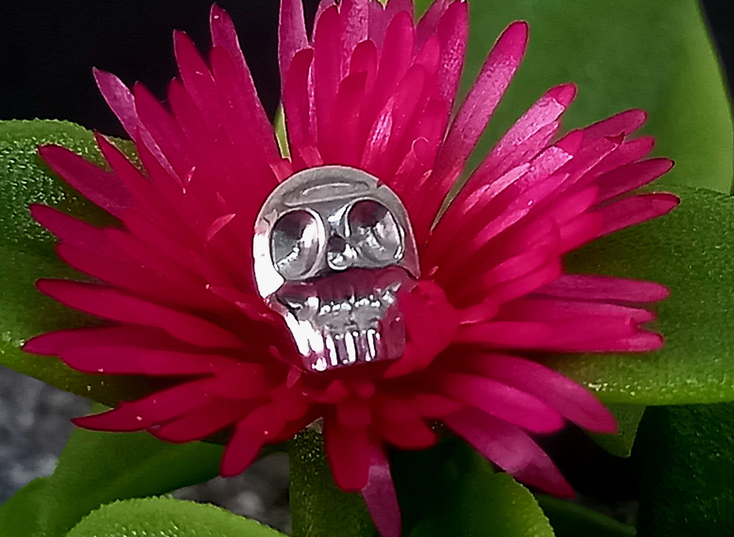 Titanio grado implante. Calavera 2