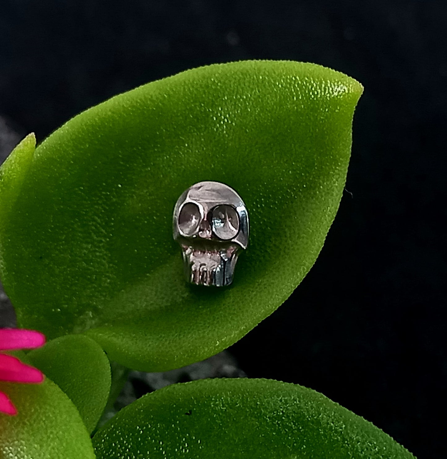 Titanio grado implante. Calavera 2