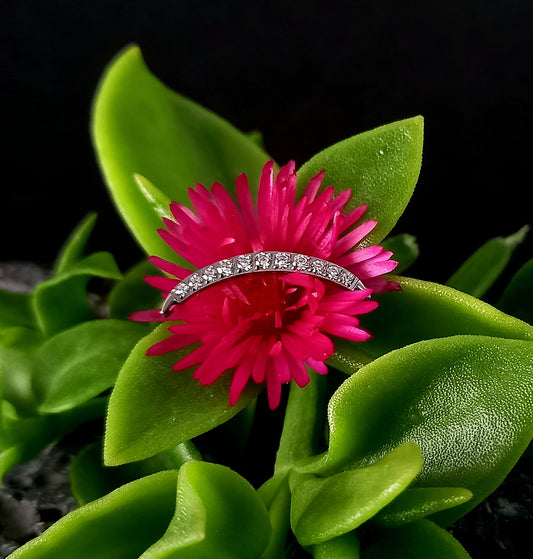 Media luna 9 cristales - titanio grado implante ASTM F-136