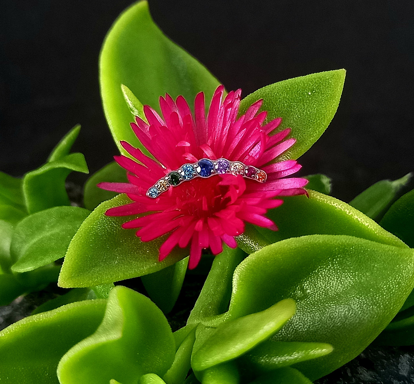 Media luna 9 cristal petite multicolor - titanio grado implante ASTM F-136