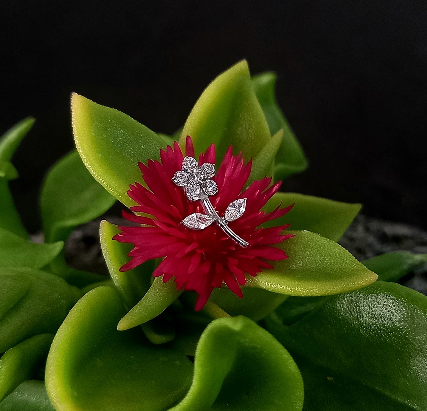 Titanio grado implante. Flor con tallo clear