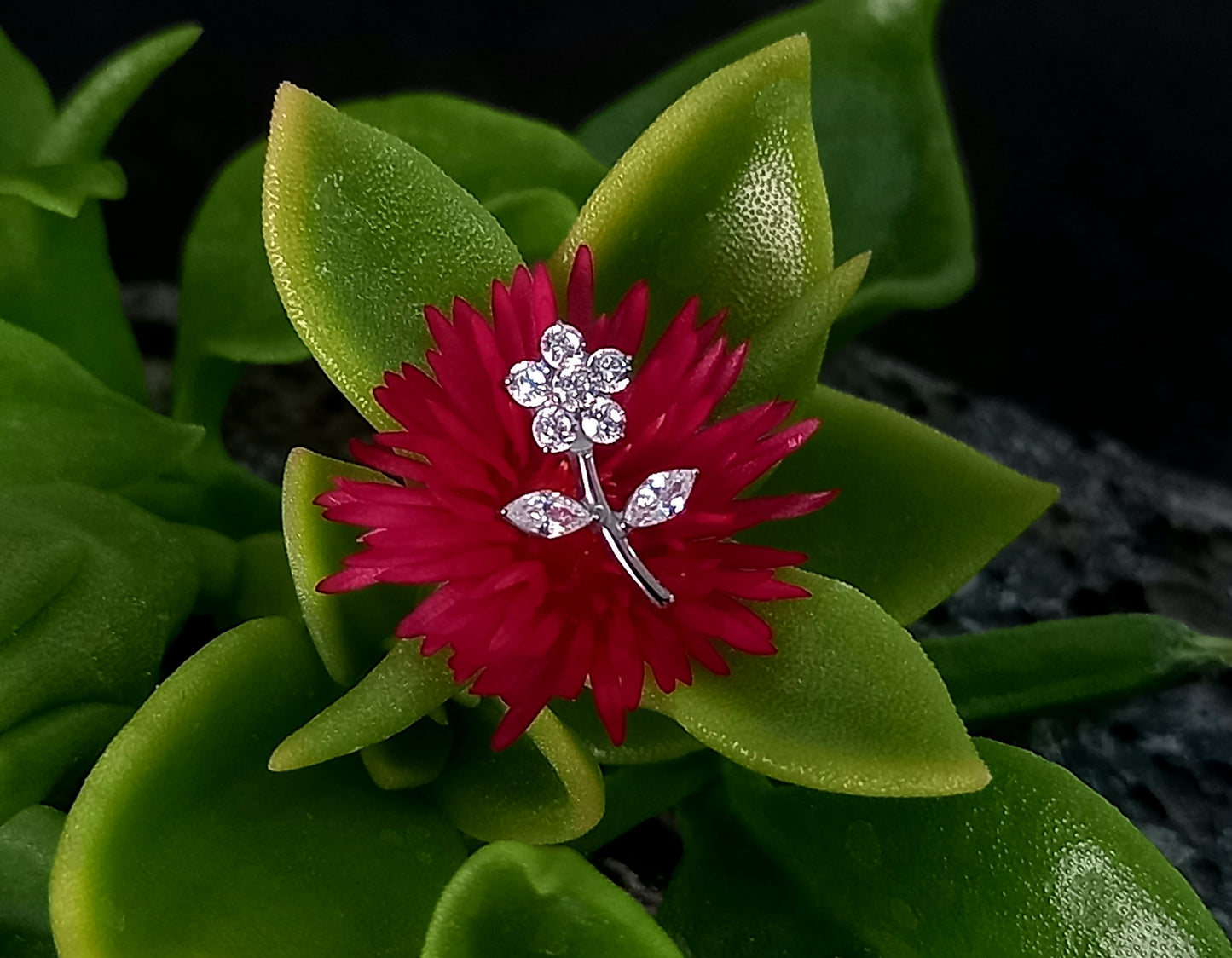 Titanio grado implante. Flor con tallo clear