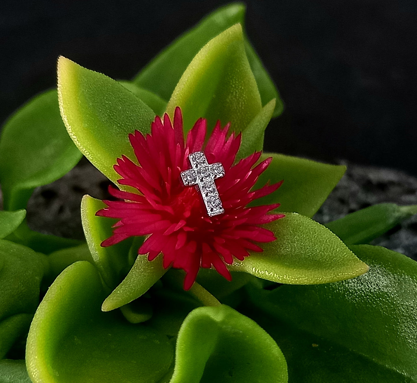 Cruz clear - titanio grado implante ASTM F-136