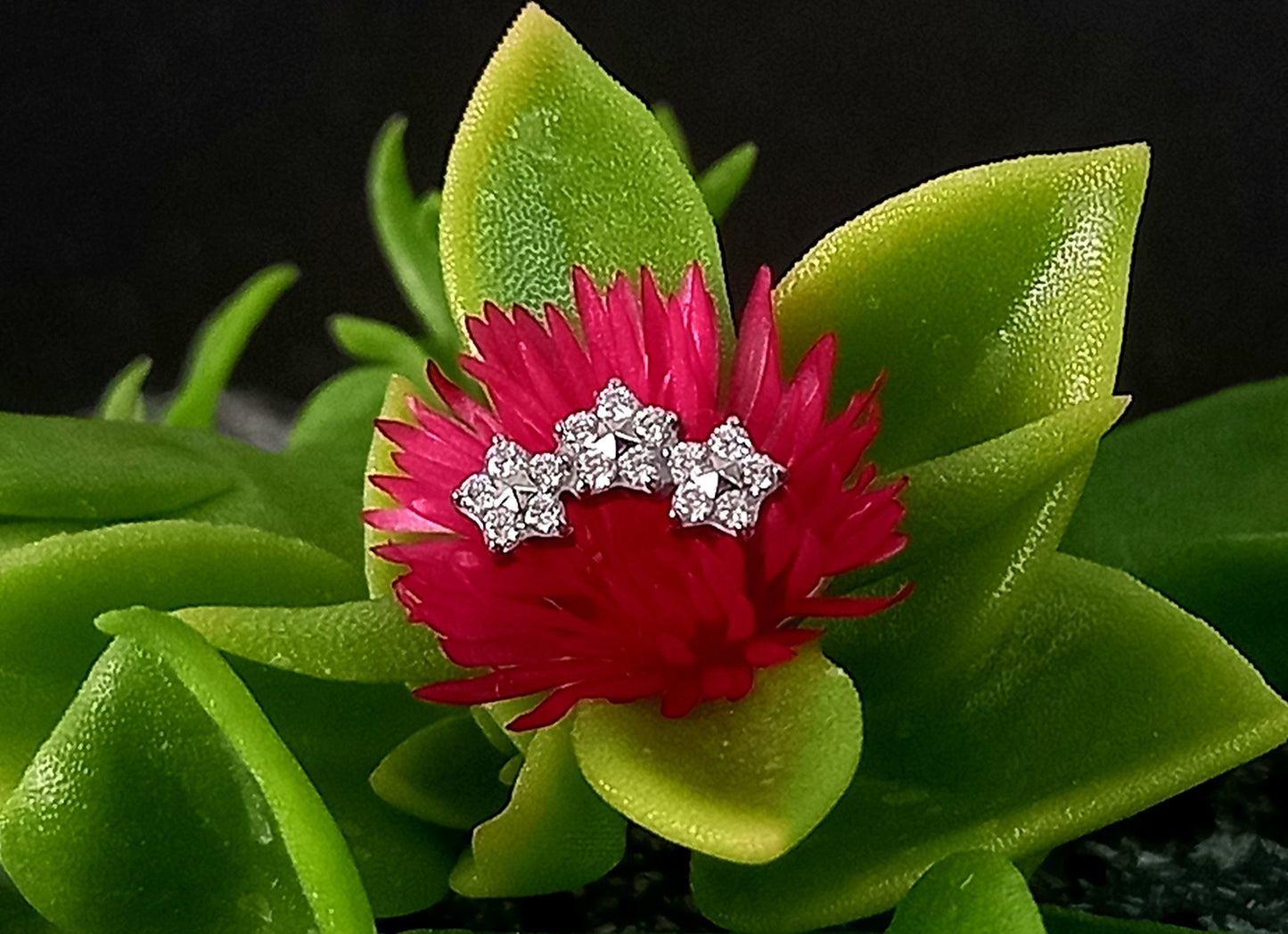 Titanio grado implante. Media luna triple flor
