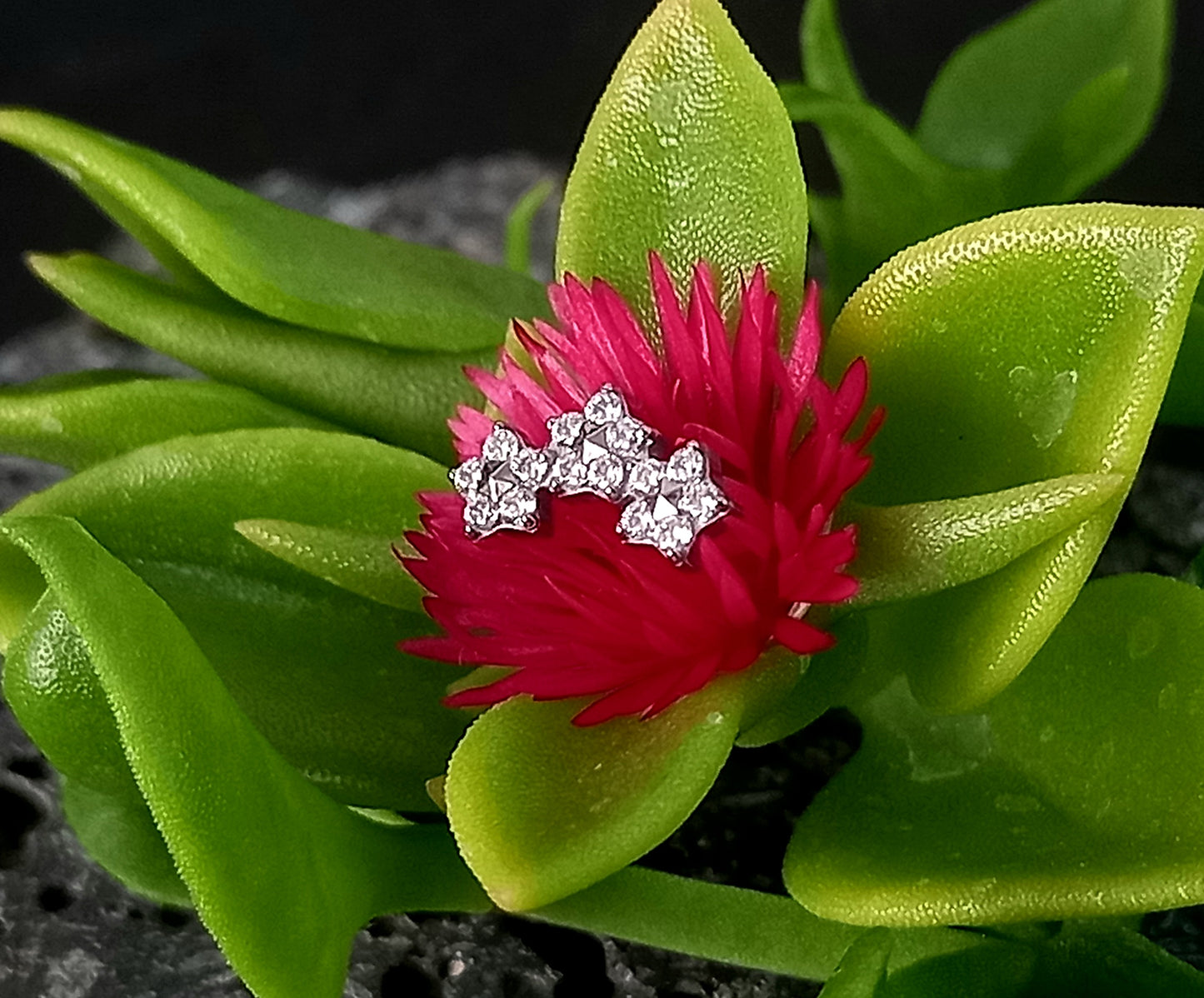 Titanio grado implante. Media luna triple flor
