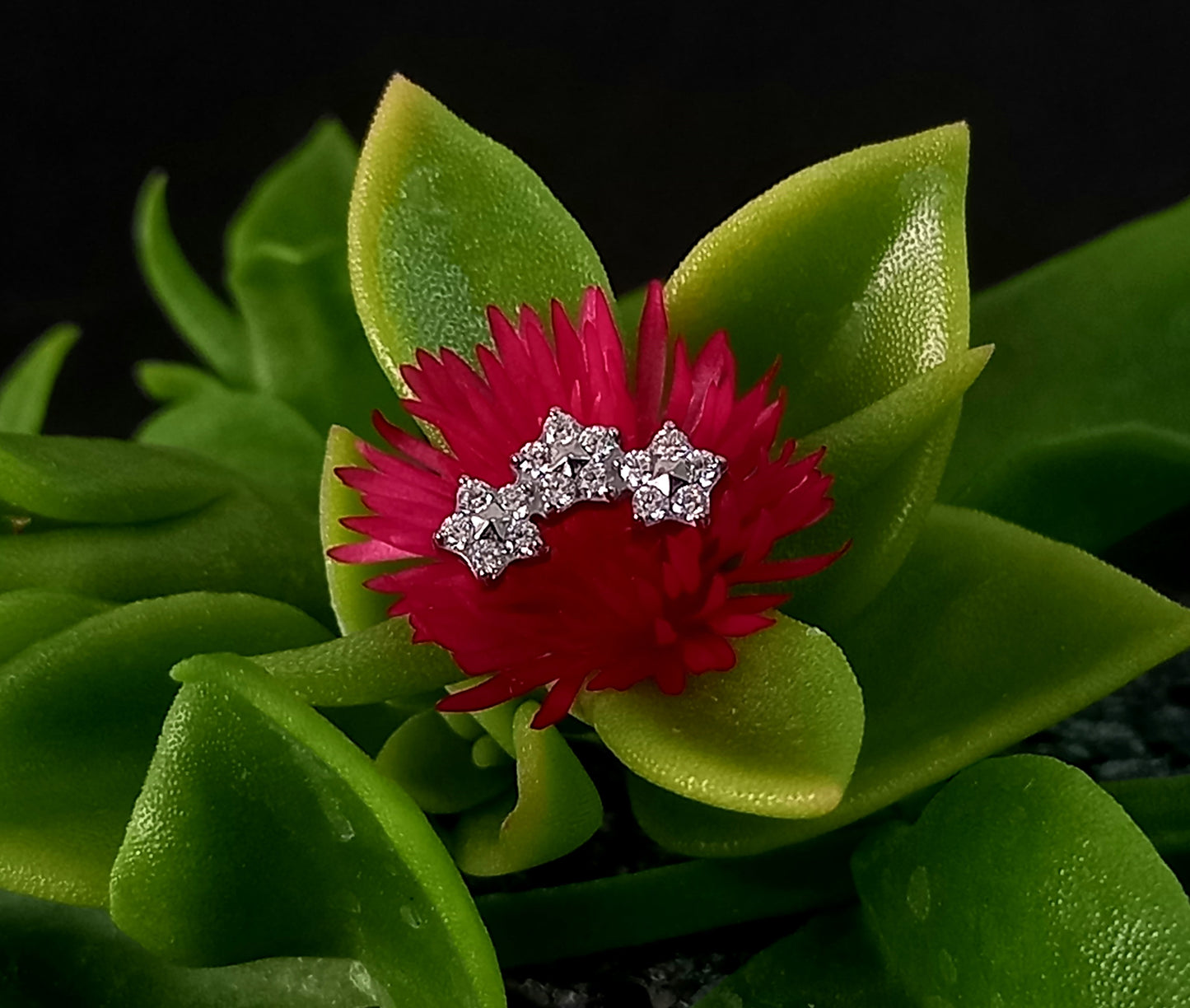 Titanio grado implante. Media luna triple flor