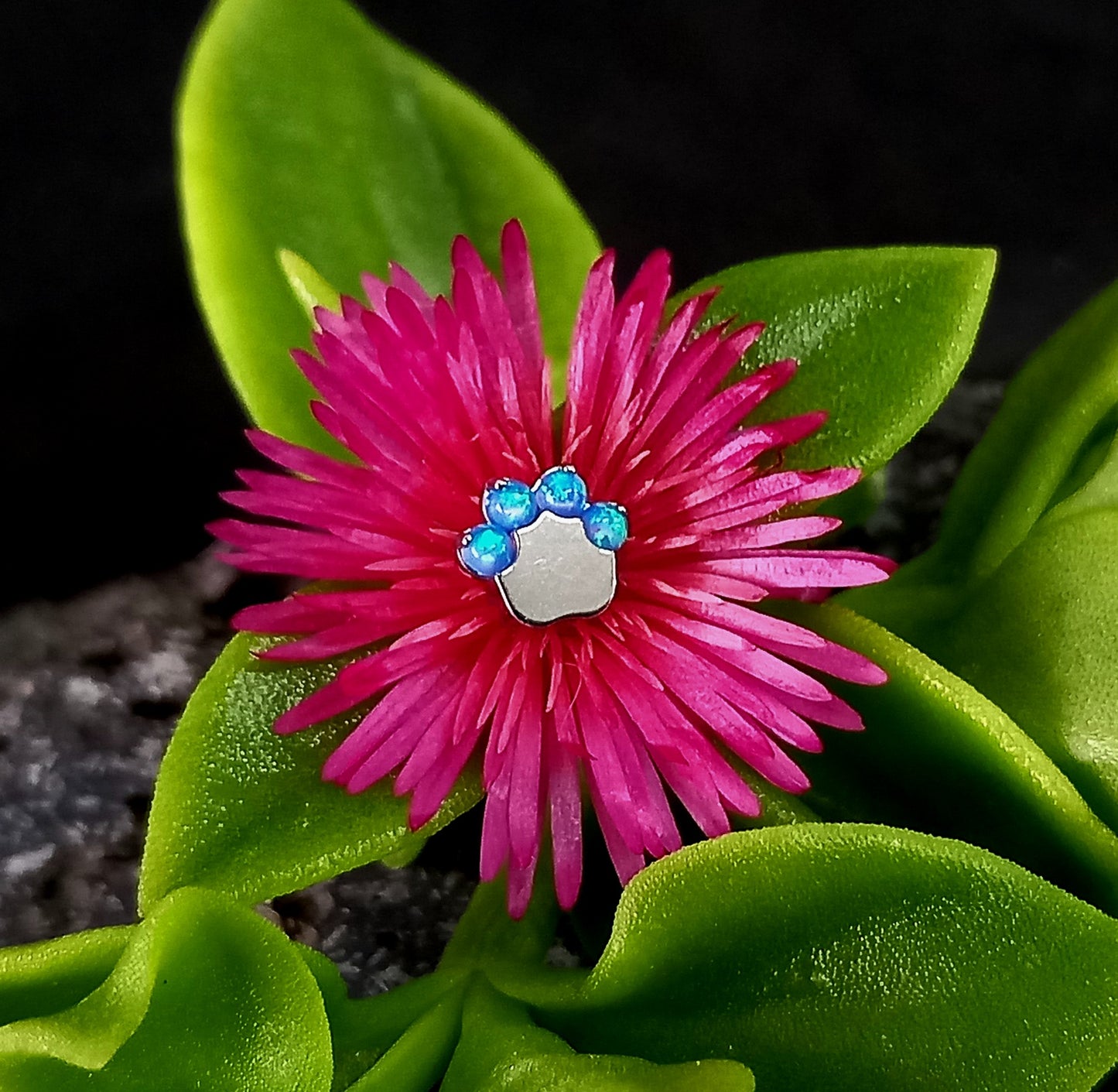 Patita de ópalo azul - titanio grado implante ASTM F-136