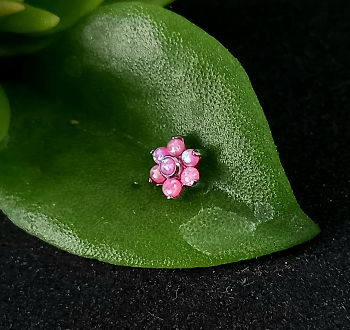Titanio grado implante. Flor opalo rosa