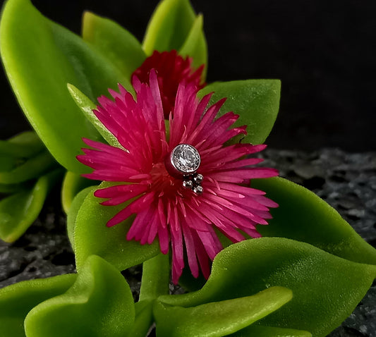 Brillo con trinity inferior - titanio grado implante ASTM F-136