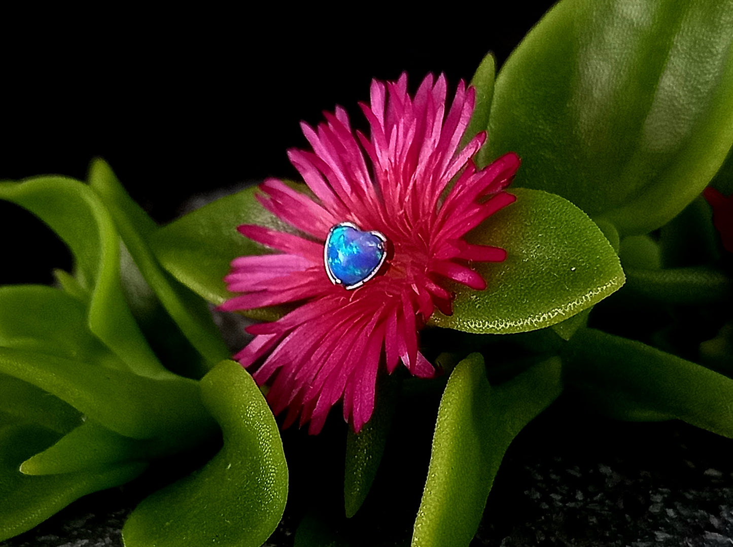 Titanio grado implante. Corazón ópalo colores