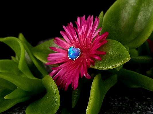 Corazón ópalo colores - titanio grado implante ASTM F-136