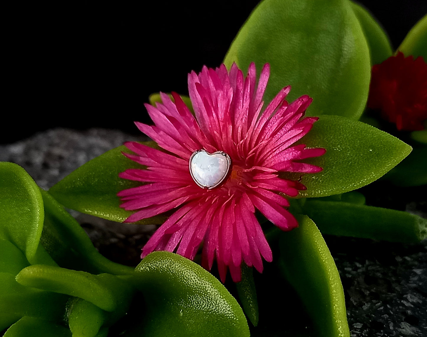 Titanio grado implante. Corazón ópalo colores