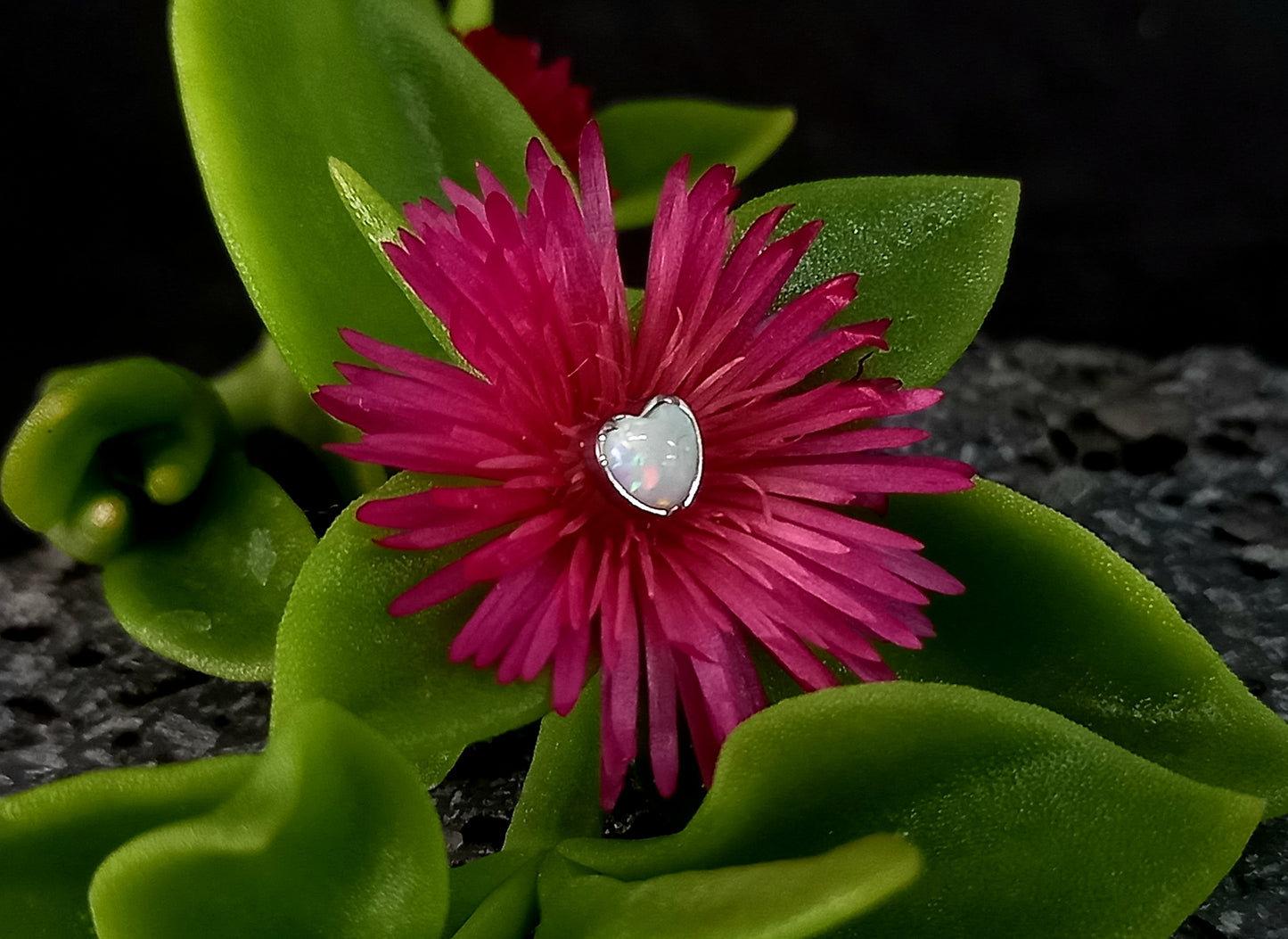 Titanio grado implante. Corazón ópalo colores