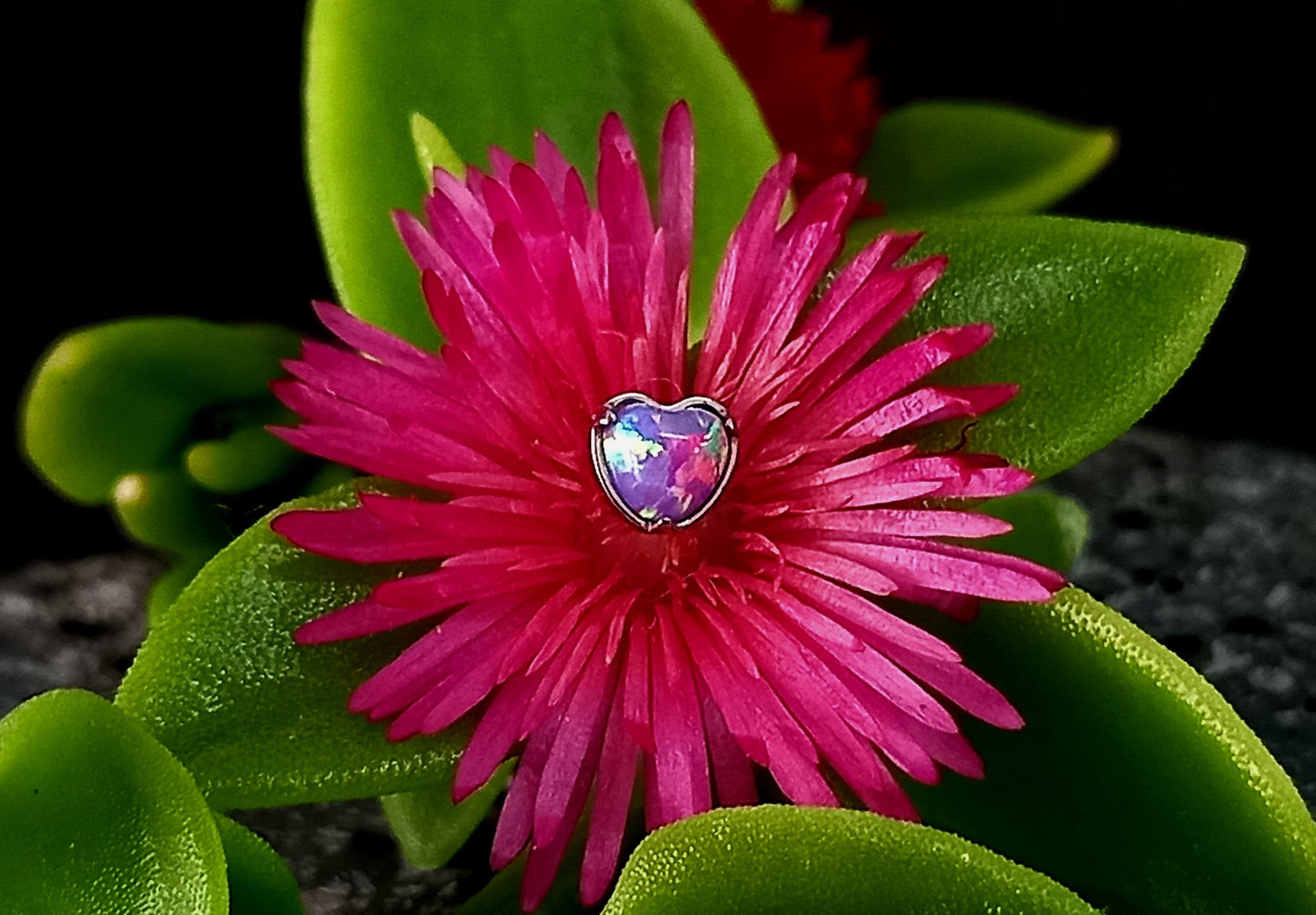 Titanio grado implante. Corazón ópalo colores