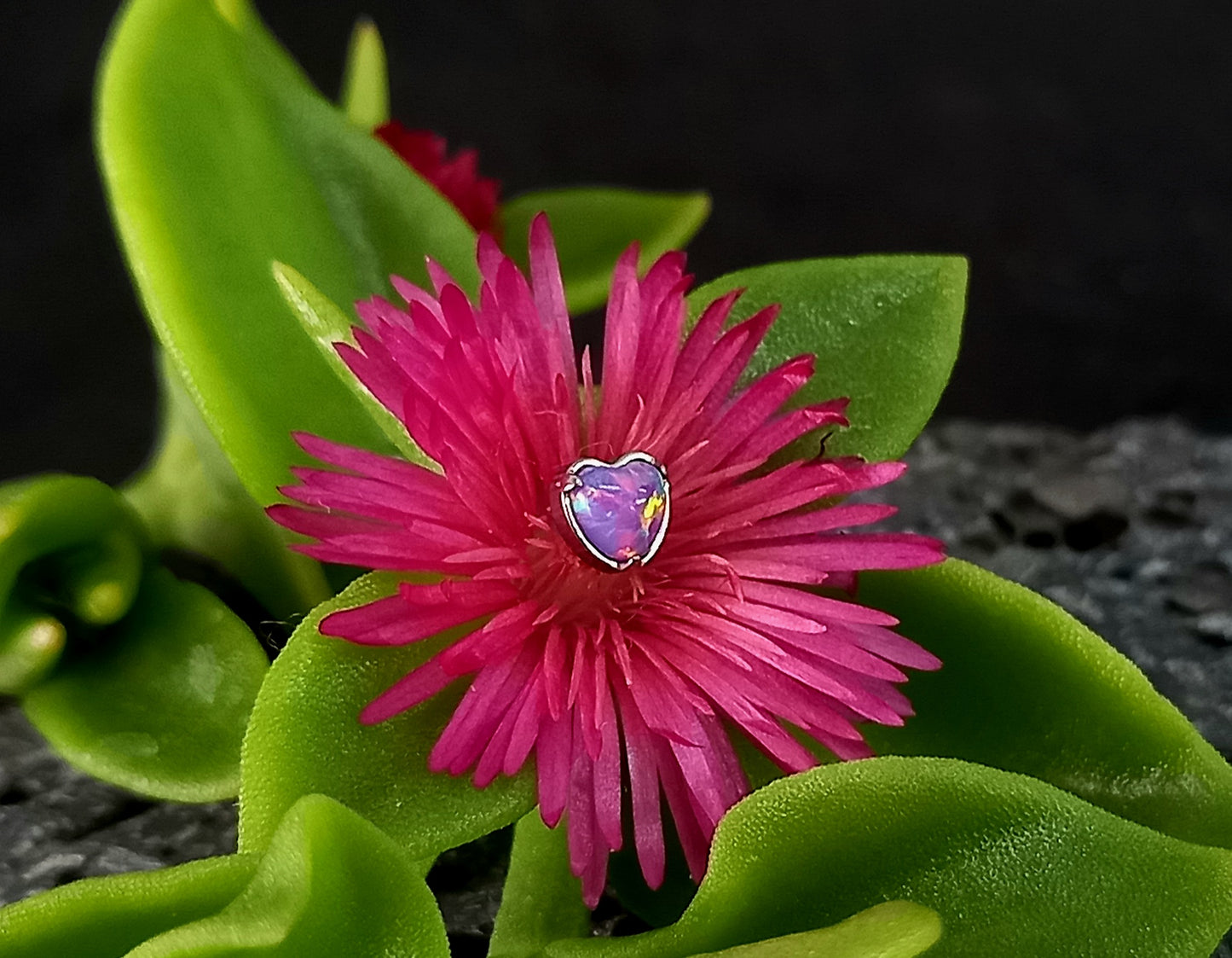 Corazón ópalo colores - titanio grado implante ASTM F-136