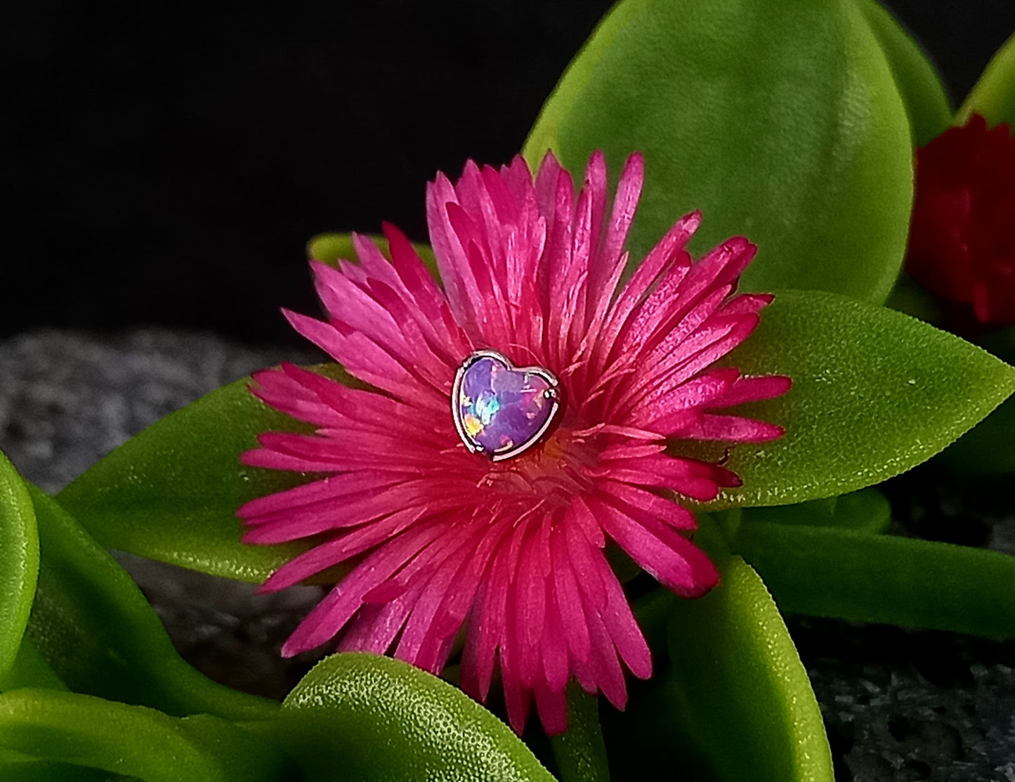 Titanio grado implante. Corazón ópalo colores