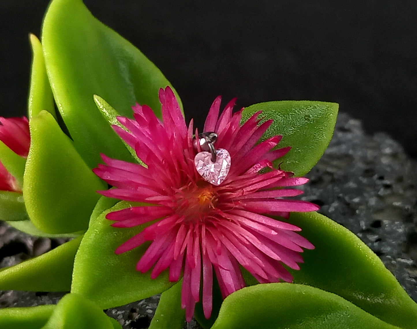Titanio grado implante. Colgante corazon rosa
