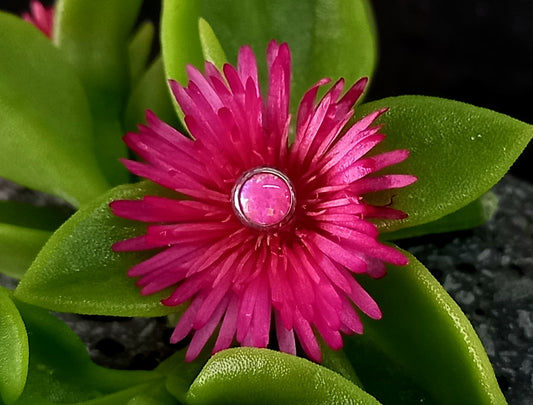 Opalo rosa 5mm - titanio grado implante ASTM F-136