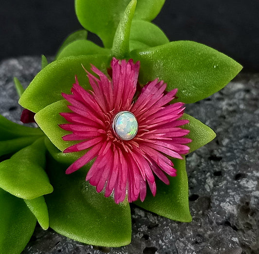 Top ópalo blanco - titanio grado implante ASTM F-136