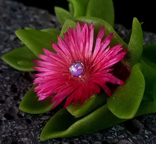 Opalo purpura 4 mm -14 g - titanio grado implante ASTM F-136