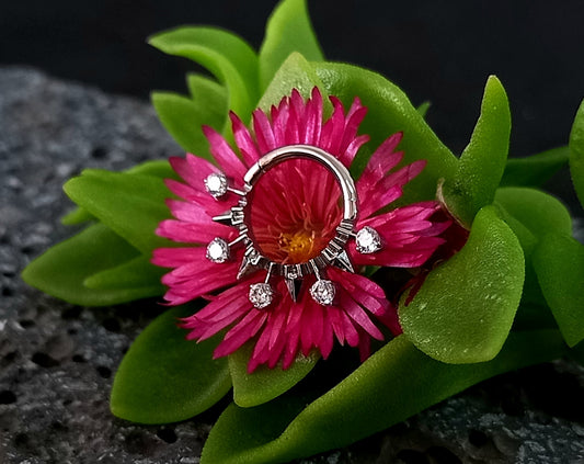 Titanio grado implante. Clicker brillos y puntas