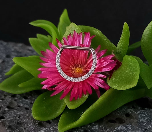 Argolla clicker D con brillo